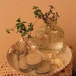 棚/植物/キャンドルのインテリア実例 - 2013-09-27 18:38:38