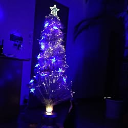 クリスマスツリーのインテリア実例 - 2016-12-18 21:26:16