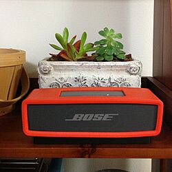 棚/SoundLink Mini/BOSE/植物/Bluetooth speakerのインテリア実例 - 2013-12-05 20:10:05