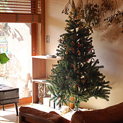 クリスマス/クリスマスディスプレイ/クリスマスツリー150cm/ドライフラワーのある暮らし/窓際...などのインテリア実例 - 2021-12-09 23:23:02