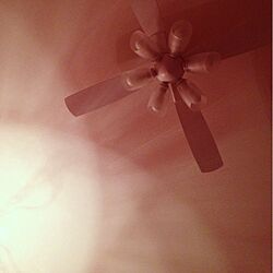 壁/天井/照明のインテリア実例 - 2013-11-11 22:39:05
