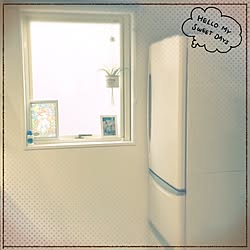 キッチン/もっとオシャレな空間にしたい/エアプランツ♪/キッチン出窓/ダイソー...などのインテリア実例 - 2016-03-31 19:17:59