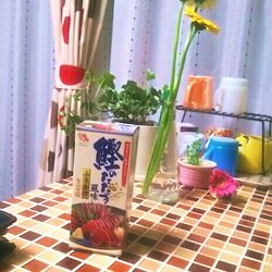 キッチン/モザイクタイル DIY/キッチンカウンター/アイビー/おみやげのインテリア実例 - 2014-04-08 19:51:40