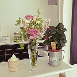お花のある暮らし/植物と暮らす/観葉植物/春を楽しむ/キッチンのインテリア実例 - 2021-04-11 12:35:14