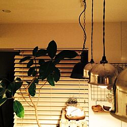 キッチン/観葉植物/照明のインテリア実例 - 2014-01-15 00:17:43