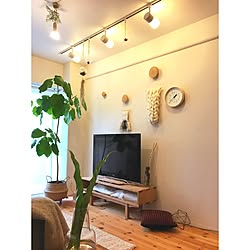 部屋全体/キリムクッション/ウスネオイデス/ウンベラータ/テレビ台DIY...などのインテリア実例 - 2016-12-30 02:32:17