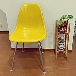 ミッドセンチュリー/ハーマンミラー/Herman Miller/イームズチェア/イームズ...などのインテリア実例 - 2019-07-02 07:55:23