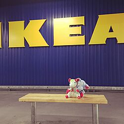部屋全体/ぬいぐるみ/お友達/IKEAのインテリア実例 - 2016-06-25 00:31:40