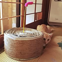 ねこのいる日常/子供と暮らす。/はんどめいど/ハンドメイド/子供がいる家のインテリア実例 - 2016-10-05 20:43:23