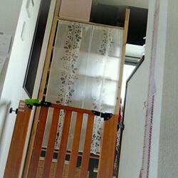 リビング/手探り中/IKEA/食器棚のインテリア実例 - 2013-08-21 15:52:03