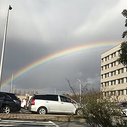 壁/天井/インテリアじゃなくてごめんなさい/虹/いいね！ありがとうございます♪/ハムスター飼ってます◡̈♥︎...などのインテリア実例 - 2017-01-30 20:24:09