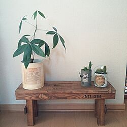 棚/DIY/植物のインテリア実例 - 2014-06-25 11:01:52