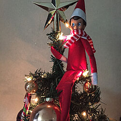 elf on the shelf/Christmasのインテリア実例 - 2021-11-30 13:59:52
