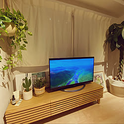 カーテン/テレビ台/観葉植物のある部屋/観葉植物/リビングのインテリア実例 - 2022-01-14 22:15:27