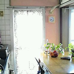 団地/壁紙/キッチン/観葉植物/植物のある暮らしのインテリア実例 - 2016-01-01 17:26:02