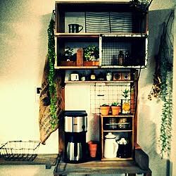 壁/天井/DIY/カフェコーナー頑張る/セリアgreen/ダイソーgreen...などのインテリア実例 - 2014-12-01 14:51:55