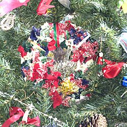 玄関/入り口/手作り/クリスマスツリーのインテリア実例 - 2012-12-02 15:33:08