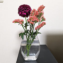 リビング/花瓶/お花のある暮らしのインテリア実例 - 2022-12-10 19:38:06