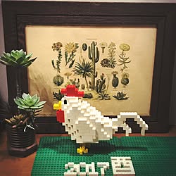 壁/天井/IG→chobi_nobe/LEGO/多肉植物/サボテン...などのインテリア実例 - 2017-01-03 00:38:54