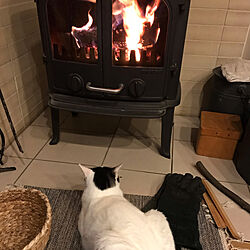 わが家の暖房器具・ストーブ/猫と暮らす家/リビングのインテリア実例 - 2022-12-10 14:36:08
