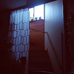 壁/天井/日の光/観葉植物/カーテンのある暮らし/階段窓...などのインテリア実例 - 2022-05-07 10:36:05