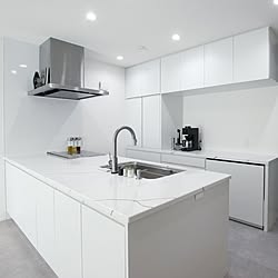 キッチン/システムキッチン/タカラスタンダード/タカラスタンダード Kitchen/オフェリアのインテリア実例 - 2024-03-17 17:11:50