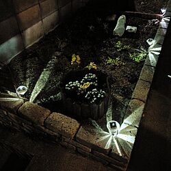 玄関/入り口/花壇のインテリア実例 - 2017-03-28 19:35:50