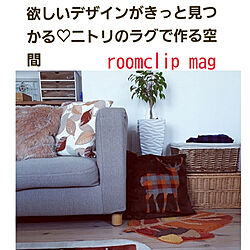 机/RoomClip mag/ニトリのラグ/ニトリ/ナチュラル...などのインテリア実例 - 2019-02-11 12:59:08