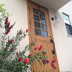 玄関/入り口/カリフォルニアっぽく（≧∇≦）のインテリア実例 - 2015-07-21 21:43:40