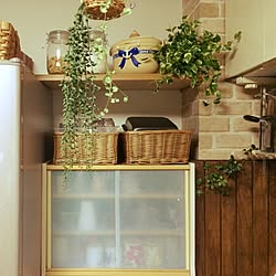 キッチン/ハートカズラ/リユース/natural kitchen/フェイクグリーン...などのインテリア実例 - 2016-04-18 18:15:21