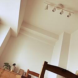 壁/天井/IKEAのダイニングテーブル/IKEA 照明/観葉植物/ダイニング...などのインテリア実例 - 2017-01-18 11:25:06