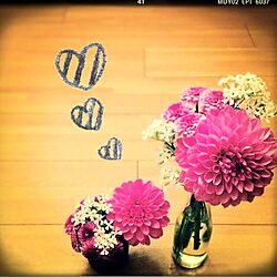 棚/DIY/Flowersのインテリア実例 - 2014-02-17 11:44:53