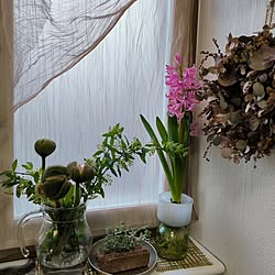 玄関/入り口/季節を楽しむ暮らし/狭小住宅/RCの出会いに感謝♡/植物のある暮らし...などのインテリア実例 - 2024-02-17 17:37:21