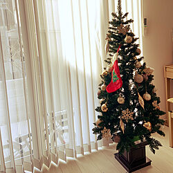 リビング/モダン/クリスマス/シンプル/クリスマスツリー150cm...などのインテリア実例 - 2023-12-24 21:41:05