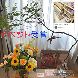 ドウダンツツジ/無印良品　ベンチ/マリメッコ/marimekko/BIRDS’ WORDS...などのインテリア実例 - 2023-05-30 10:07:57