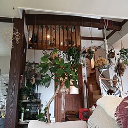 部屋全体/心地よく暮らす工夫/観葉植物/ドライフラワー/古道具...などのインテリア実例 - 2023-06-06 20:35:01