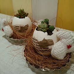 棚/植物/コメントお返しまだでごめんなさい‼︎/いいね＆コメントいつもアリガトウ♡/フォローして頂きありがとうございます！...などのインテリア実例 - 2015-11-15 09:45:13