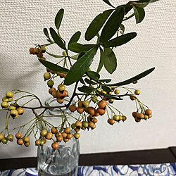 植物/秋/机のインテリア実例 - 2020-10-21 19:42:08