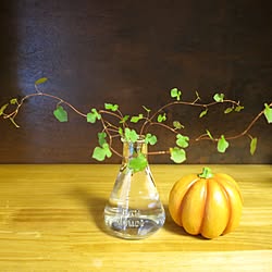 多肉植物/ワイヤープランツ/ハロウィン/ベッド周り/ベッド周りではありません...などのインテリア実例 - 2016-09-28 06:56:37