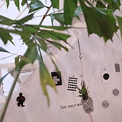 壁/天井/観葉植物/シンプル/モノトーン/白黒ハウス...などのインテリア実例 - 2016-07-25 04:29:01