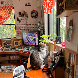 ダイソーウィリアムモリスリメイクシート/Aqettyちゃんのリース/IKEA猫柄カーテン/窓辺の猫/ねこのいる風景...などのインテリア実例 - 2022-04-25 08:33:28