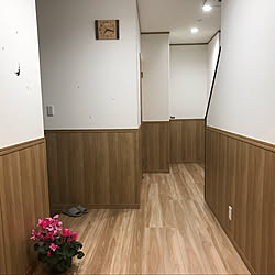 ダイケンの建具/ダイケン腰壁/DAIKENの腰壁/DAIKEN腰壁パネル/腰壁パネル...などのインテリア実例 - 2019-11-16 20:22:53