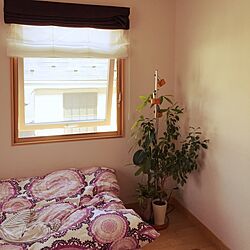 ベッド周り/IKEA/北欧/観葉植物/スエーデンハウスのインテリア実例 - 2017-05-19 15:21:52