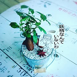 机/落書き/ホワイトインテリア/植物のインテリア実例 - 2016-08-22 07:34:48