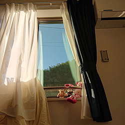 ベッド周り/寝室/カーテン/窓のインテリア実例 - 2019-10-13 17:10:39