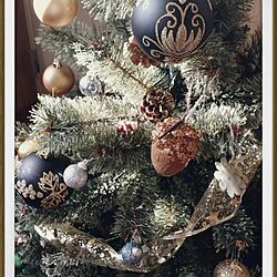 リビング/クリスマスツリー/雑貨のインテリア実例 - 2013-12-14 20:02:38