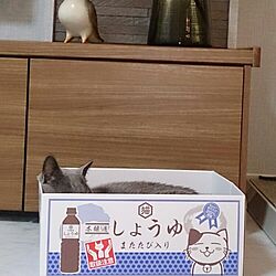 リビング/箱猫のインテリア実例 - 2016-07-02 22:00:39