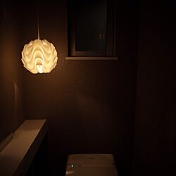 LEDに変えよう/照明/トイレ/ペンダント/飲み屋より暗いトイレのインテリア実例 - 2016-08-26 00:16:53