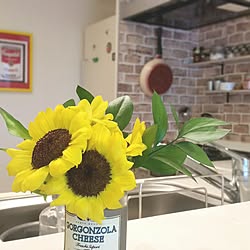 キッチン/花のある暮らし/植物のある暮らし/マンション暮らし/花...などのインテリア実例 - 2017-06-25 10:59:52