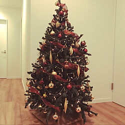 クリスマス/ダイソー/IKEA/ニトリ/クリスマスツリー 120cm...などのインテリア実例 - 2019-12-01 18:02:31